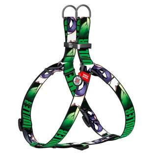 Анатомічний нашийник для собак WAUDOG Nylon з QR паспортом, малюнок "Загадочник", металевий пряжка-фастекс, Ш 15 мм, Дл 40-55 см