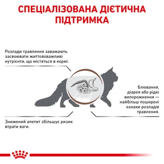 Сухий корм для дорослих котів Royal Canin Gastro Intestinal Cat 2 кг