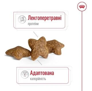 Сухой корм для собак мелких пород Royal Canin Mini Adult для взрослых собак 800 г