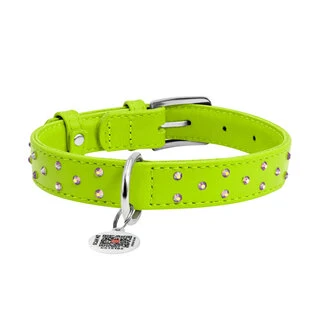 Нашийник для собак шкіряний WAUDOG Glamour з QR паспортом, з клейовими стразами, Ш 25 мм, Дл 38-49 см, салатовий