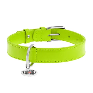 Нашийник для собак шкіряний WAUDOG Glamour з QR паспортом, без прикрас, Ш 20 мм, Дл 30-39 см, салатовий