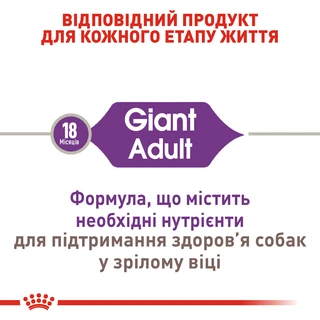 Сухой корм для взрослых собак Royal Canin Giant Adult гигантских пород старше 2 лет 15 кг