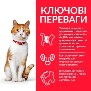Hill&rsquo;s SCIENCE PLAN Adult Sterilised Cat Chicken Сухой корм для взрослых стерилизованных кошек с курицей 0,3 кг