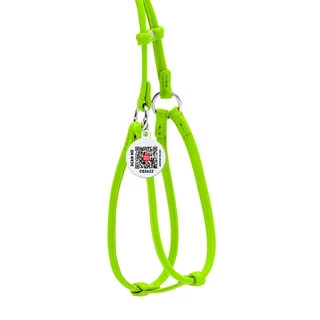 Шлея з повідцем для собак шкіряна WAUDOG Glamour з QR паспортом, кругла, Д 6 мм, А 26-46 см, В 30-50 см, салатовий