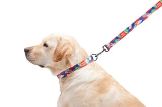 Поводок для собак нейлоновый WAUDOG Nylon, рисунок "Витраж", Ш 20 мм, Дл 122 см