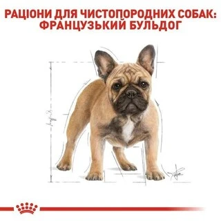 Сухой корм Royal Canin French Bulldog Adult для взрослых собак старше 12 месяцев 1.5 кг
