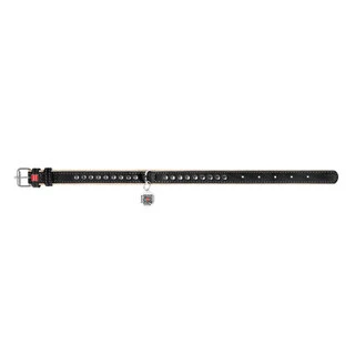 Нашийник для собак шкіряний WAUDOG Soft з QR паспортом, металеві прикраси, Ш 15 мм, Дл 27-36 см