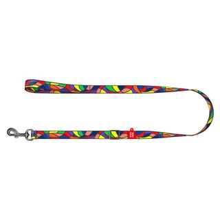Поводок для собак нейлоновий WAUDOG Nylon, малюнок "Вітраж", регульований, Ш 25 мм, Дл 152-183 см