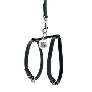Шлейка з повідцем для собак шкіряна WAUDOG Glamour з QR паспортом, Ш 9 мм, А 20-30 см, В 30-40 см, чорна