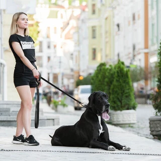 Поводок для собак "EVOLUTOR" (ширина 25 мм, длина 120 см), САМЫЙ ПРОЧНЫЙ ПОВОДОК, черный