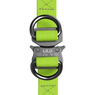 Поводок для собак водостійкий WAUDOG Waterproof з QR-паспортом, металевий фастекс, Ш 20 мм, Дл 50-80 см, салатовий
