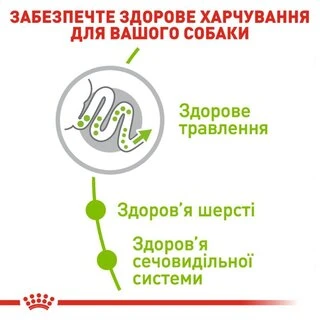 Сухий корм Royal Canin Xsmall Adult для собак мініатюрних розмірів від 10 місяців до 8 років, 3 кг