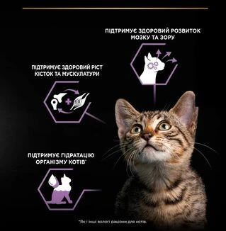 ПАК. Упаковка влажного корма для котят Pro Plan индейка мультипак (10x85)