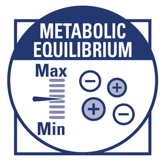 Сухой корм для собак Royal Canin Renal Canine с хронической почечной недостаточностью 2 кг