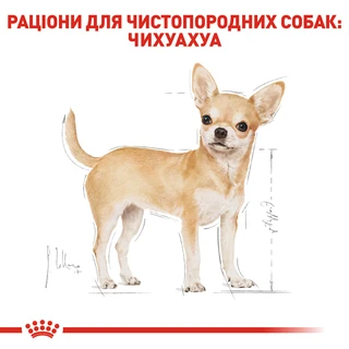 Сухой полнорационный корм для взрослых собак породы чихуахуа Royal Canin Chihuahua Adult возрасте от 8 месяцев и старше 1.5 кг