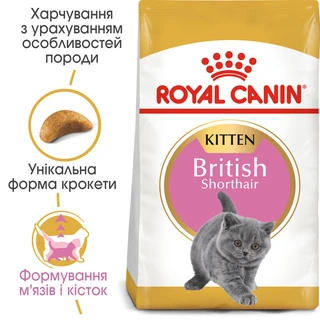 Сухий корм для кошенят Royal Canin Kitten British Shorthair 2 кг