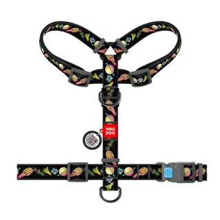 Анатомічний H-подібний нашийник для собак WAUDOG Nylon з QR паспортом, малюнок "Рік і Морті 3", пластиковий фастекс, М, Ш 20 мм, А 40-70 см, В 50-80 см