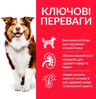 Сухий корм для зрілих собак від 7 років Hill&rsquo;s Science Plan Mature Adult 7+ Medium Breed з куркою 14 кг