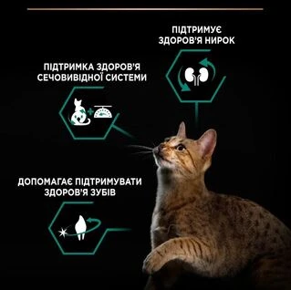 Сухий корм для котів Purina Pro Plan Sterilised Adult 1+ Renal Plus з індичкою 3 кг