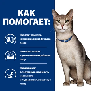 Лікувальний корм Hill's PD k/d Kidney Care Tuna з тунцем для котів при нирковій та/або серцевій недостатності 3 кг