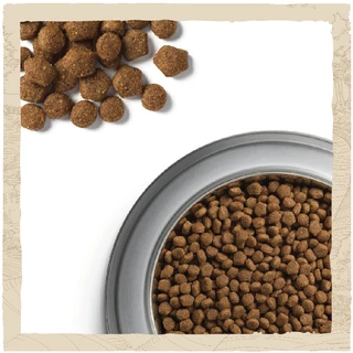 Сухой корм для щенков Dog Chow Puppy с ягненком 2.5 кг