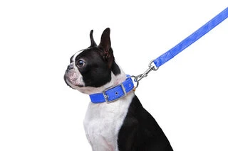 Поводок "Dog Extremе" нейлоновый двойной (ширина 20мм, длина 122см), голубой