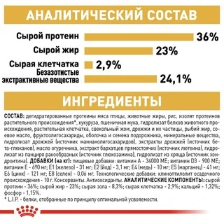 Сухой корм Royal Canin MAINECOON KITTEN для котят породы Мейн Кун 400 г