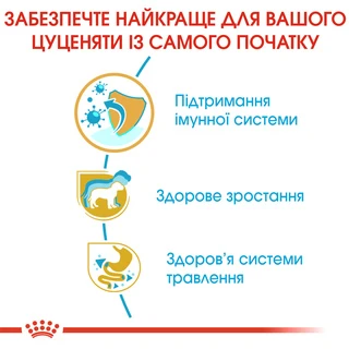 Сухой корм для щенков Royal Canin Jack Russel Puppy 1.5 кг