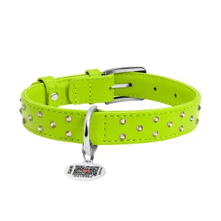Нашийник для собак шкіряний WAUDOG Glamour з QR паспортом, з клейовими стразами, Ш 20 мм, Дл 30-39 см, салатовий