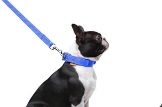 Поводок "Dog Extremе" нейлоновый двойной (ширина 20мм, длина 122см), голубой