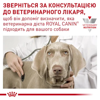 Корм для цуценят Royal Canin Hypoallergenic Puppy Сухий гіпоалергенний корм для цуценят з харчовою алергією 1,5 кг