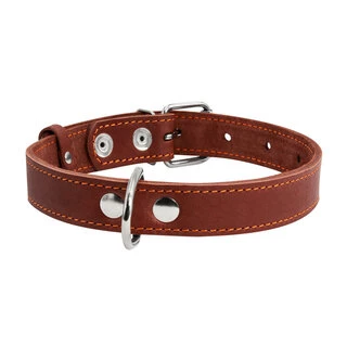 Нашийник "CoLLaR" одинарний (ширина 25мм, довжина 38-50см), коричневий