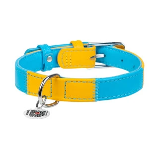 Нашийник для собак шкіряний WAUDOG Glamour з QR паспортом, "Colors of freedom", L, Ш 25 мм, Дл 38-49 см