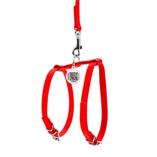 Шлея з повідцем для собак шкіряна WAUDOG Glamour з QR паспортом, Ш 12 мм, А 25-33 см, В 35-43 см, червоний