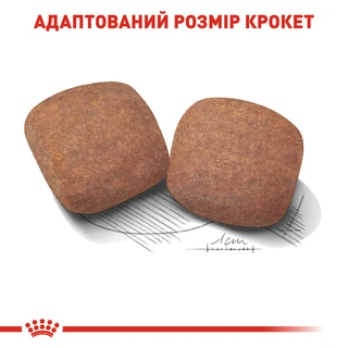 Сухой корм для взрослых собак Royal Canin Giant Adult гигантских пород старше 2 лет 15 кг