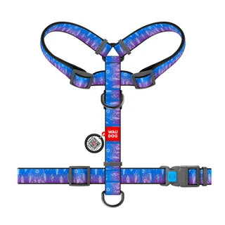 Анатомічний H-образний нашийник для собак WAUDOG Nylon з QR-паспортом, малюнок "Ловець снів", пластиковий фастекс, L, Ш 25 мм, А 50-90, В 60-100