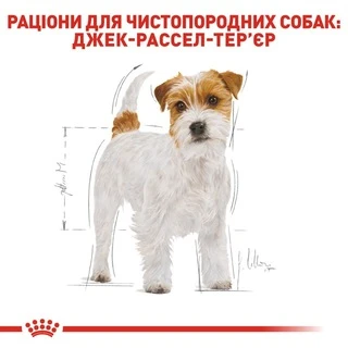 Корм Royal Canin Jack Russell Terrier Adult сухий для собак породи Джек рассел  1.5 кг