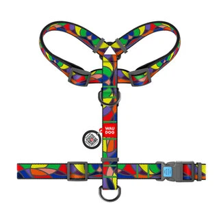 Анатомічний H-подібний нашийник для собак WAUDOG Nylon з QR-паспортом, малюнок "Вітраж", пластиковий фастекс, L, Ш 25 мм, А 50-90, В 60-100