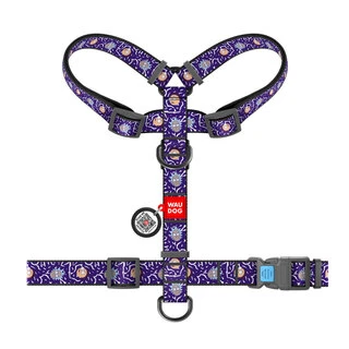 Анатомічний H-подібний нашийник для собак WAUDOG Nylon з QR паспортом, малюнок "Рік і Морті 2", пластиковий фастекс, М, Ш 20 мм, А 40-70 см, В 50-80 см