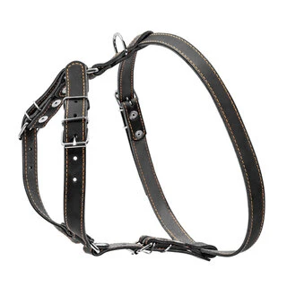 Шлея "CoLLaR" одинарна для дрібних і середніх собак (ширина 20мм, А:40-56см, В:57-65см), чорна