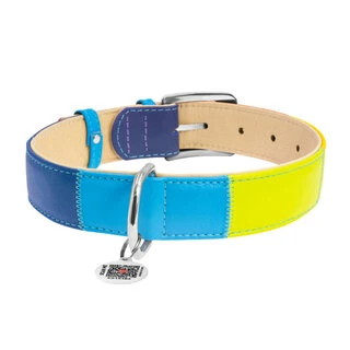 Нашийник для собак шкіряний WAUDOG Glamour з QR паспортом, "Радуга", Ш 25 мм, Дл 38-49 см