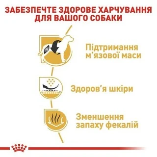 Сухий корм Royal Canin French Bulldog Adult для дорослих собак старше 12 місяців 1.5 кг