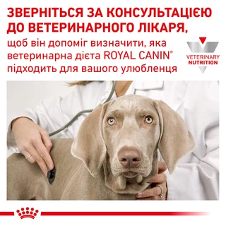 ПАК.Лікувальний корм Royal Canin Recovery 6 шт по  195 гр