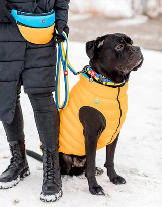 Поводок для собак нейлоновый WAUDOG Nylon рисунок "Colors of freedom", L-XXL, Ш 25 мм, Дл 122 см