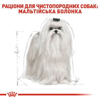 Сухий корм Royal Canin Maltese Adult для собак породи Мальтійська болонка Вага: 0.5 кг