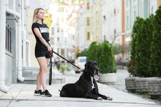 Поводок "EVOLUTOR" (ширина 25 мм, довжина 210 см), чорний